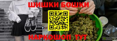 мдпв Боровичи